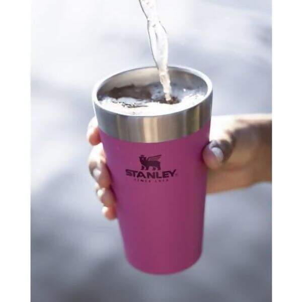 copo_stanley_473_azalea_2