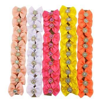 Lacinho_Pet_Sortido_6