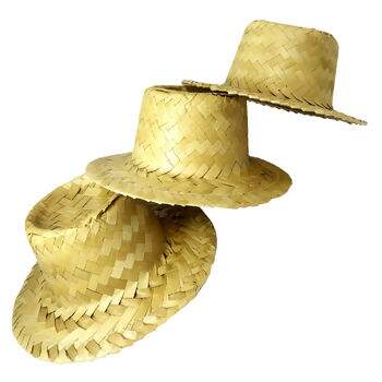 chapeu_8x9_decoracao_058236_