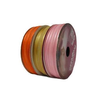 Fita Voal c/ Borda Cetim ZC  07mm Progresso N°01 10m