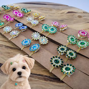 lacinhos_pet_brilho_strasss