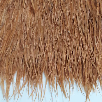 pluma_sintetica_importada_Ferrugem