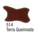 514_terra_queimada