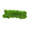 Mini_Rosa_NYBC_225