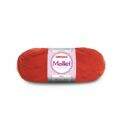 Mollet_3585