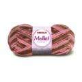 Mollet_9375