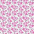 b4aff-9815-1-