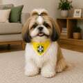 bandana_pet_brasil_d001