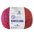 barcelona_100g