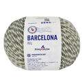 barcelona_100g_9082