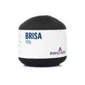 brisa_0100