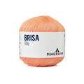 brisa_0305