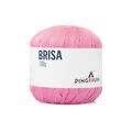 brisa_4302
