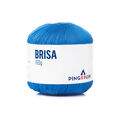 brisa_4579