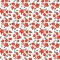 c568a-9816-2-