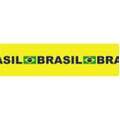 cetim_brasil_cinderela_971