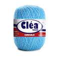 clea_1000_9113