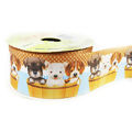 Fita Gorgurão Estampado 38mm Art Fitas N°09 10m - G56