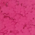 florzinha_prensada_Pink
