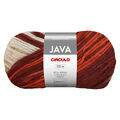 la_java_circulo_novas_8895