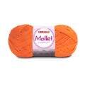 mollet_4445