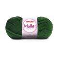 mollet_5329