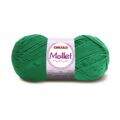 mollet_5545