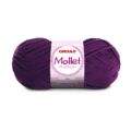 mollet_6313