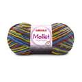 mollet_9137