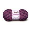 mollet_9213