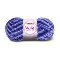 mollet_9563
