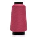 triche_overlock_268