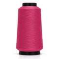 triche_overlock_283