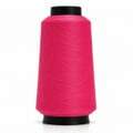 triche_overlock_284